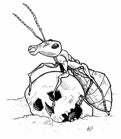 Giant Ant Coloring Page